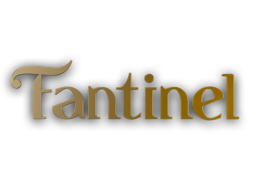 fantinel group